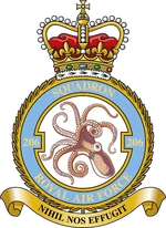 Squadron badge
