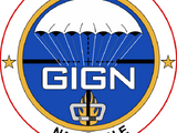 Groupe d'Intervention de la Gendarmerie Nationale