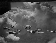 Vampire fighters