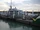 Marlin Class Patrol Ships