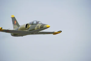 German L-39 with NVA painting