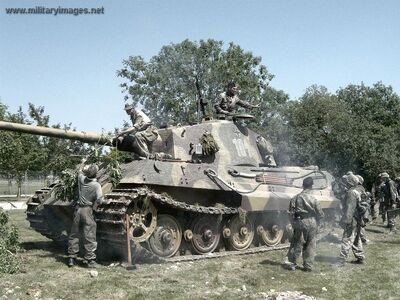 Pz6b TigerII Cam up reenact