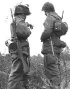 Two West German  on a joint exercise in 1960.  used the FN FAL designated as G1.