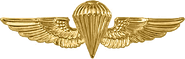 United States Navy Parachutist Badge