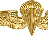 Naval Special Operations Group