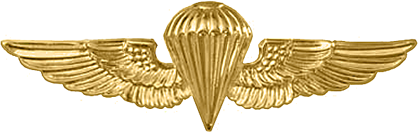 Basic Paratrooper Wings Cap