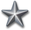 Award-star-silver-3d