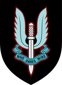 The SAS badge