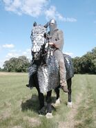 Historical re-enactment of a Sassanid era cataphract.