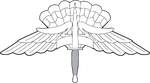 Army & Air Force HALO/HAHO Badge