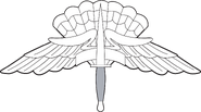 Freefall Parachutist Badge[4]