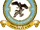 No. 29 Squadron RAF