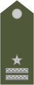 Army-SVK-OR-08b.svg.png