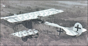 Fokker d-7