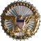 Office of the Secretary of Defense Identification Badge
