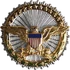 Office of the Secretary of Defense Identification Badge
