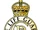 Life Guards (United Kingdom)