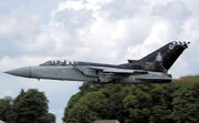 Tornado f3 ze887 kemble arp