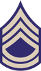 US Army WWII TSGT