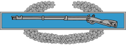 Combat Infantryman Badge[70]