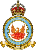 Squadron badge