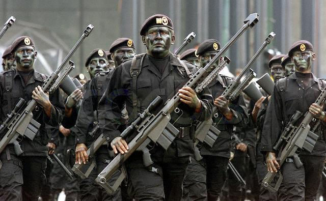 Mexican Army, Military Wiki