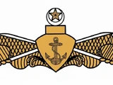 Pakistan Navy