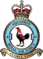 43 Squadron RAF