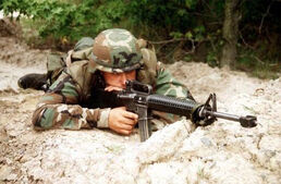 M16 3.jpg