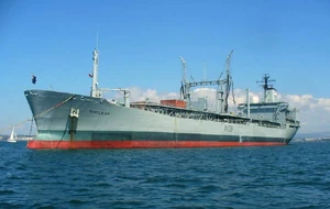 RFA Bayleaf