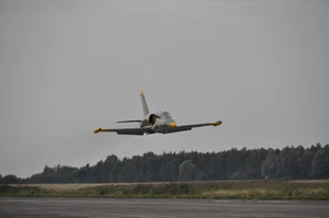 L-39 Albatros low pass in Germany
