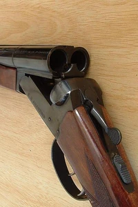 A typical , double-barreled shotgun