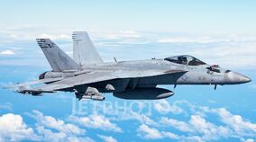 Boeing F/A-18E/F Super Hornet | Military Wiki | Fandom