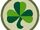 38th (Irish) Brigade