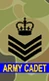 CDTSsgt Insignia