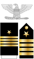 US Navy O6 insignia