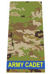 CDT Rank Insignia