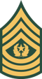 USAr insignia e9comm wag22