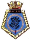 Bayleaf Ships Badge