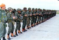 IVBrigadaParacaidista.jpg