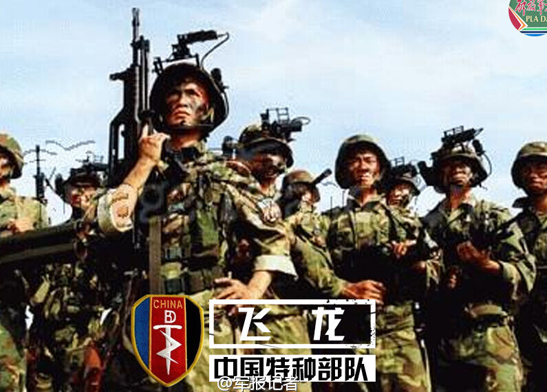 People's Liberation Army, Military Wiki