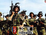 People's Liberation Army