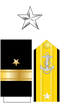 US Navy O7 insignia