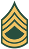 100px-US Army E-7 svg