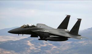 McDonnell Douglas F-15E Strike Eagle | Military Wiki | Fandom