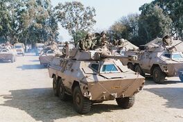 800px-Ratel 90 armyrecognition South-Africa 008