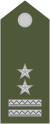 Army-SVK-OR-08a.svg.png