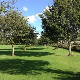 Avenue at Rushbury