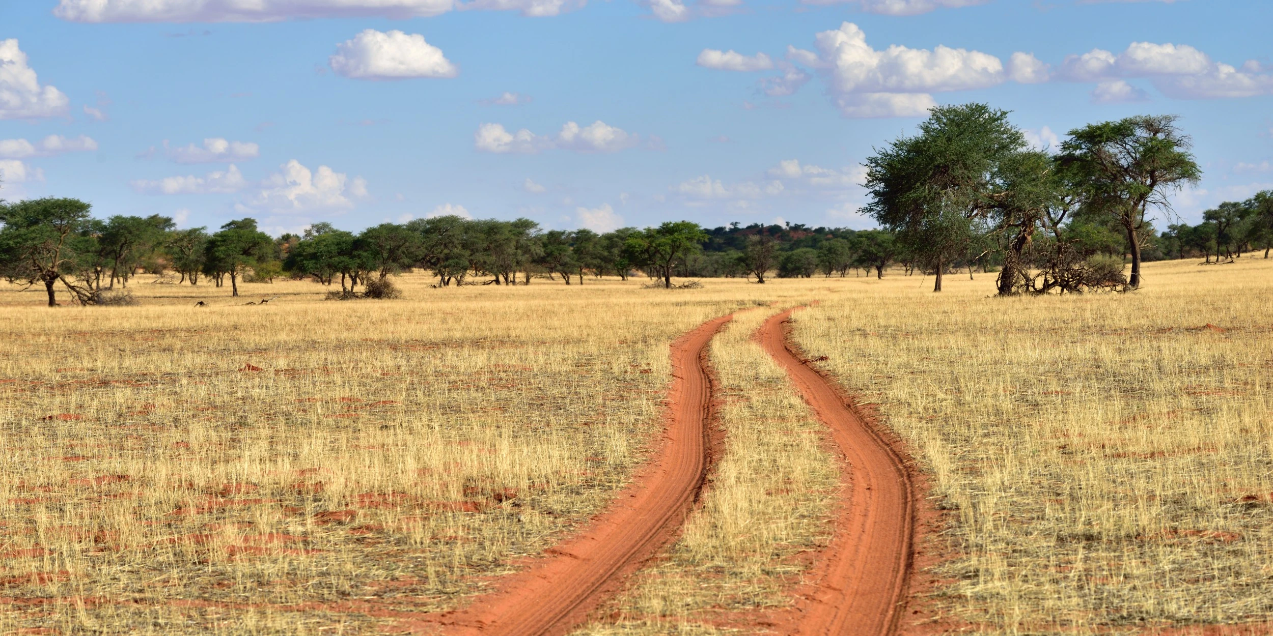 Eu sei que vou levar uns \, image size:2500x1250