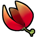 Chili Flower.png